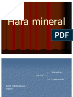 4 Fistum 2 Hara Mineral