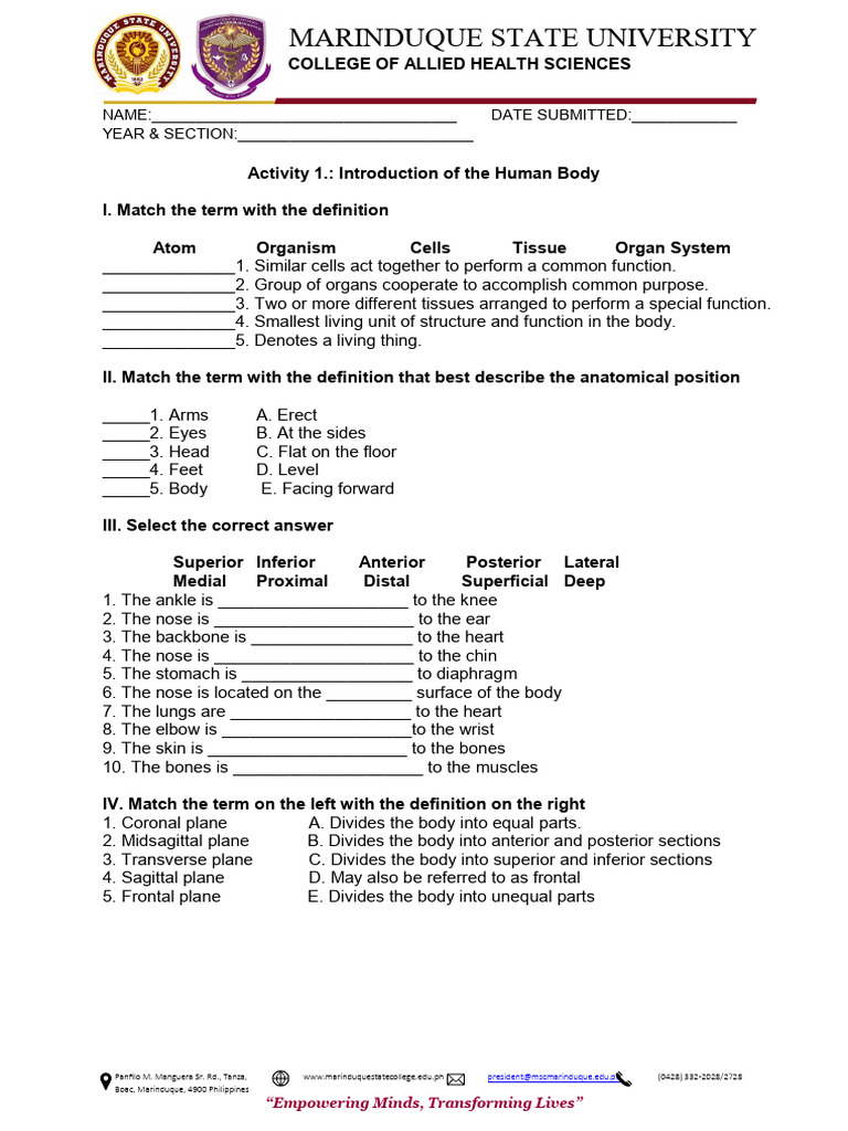Human Body Anatomy Activity Guide | PDF | Anatomical Terms Of Location ...