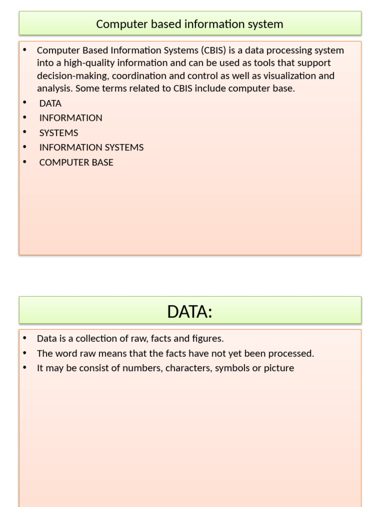 Computer Based Information System | PDF