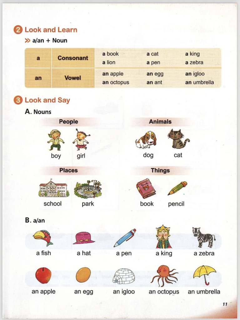 A An Singular And Plural Nouns Pdf
