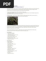Download BIOGAS ECENG GONDOK by Arrum Linggar Ovita SN77003634 doc pdf