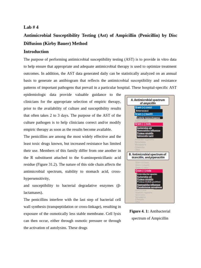 Lab # 4 Antimicrobial Susceptibility Testing (Ast) of Ampicillin ...