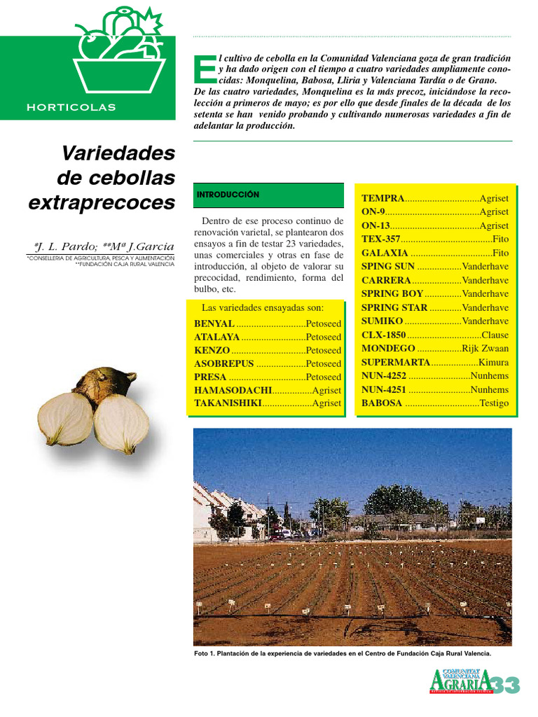 Variedades de Cebollas Extraprecoces | PDF | Botánica | Horticultura