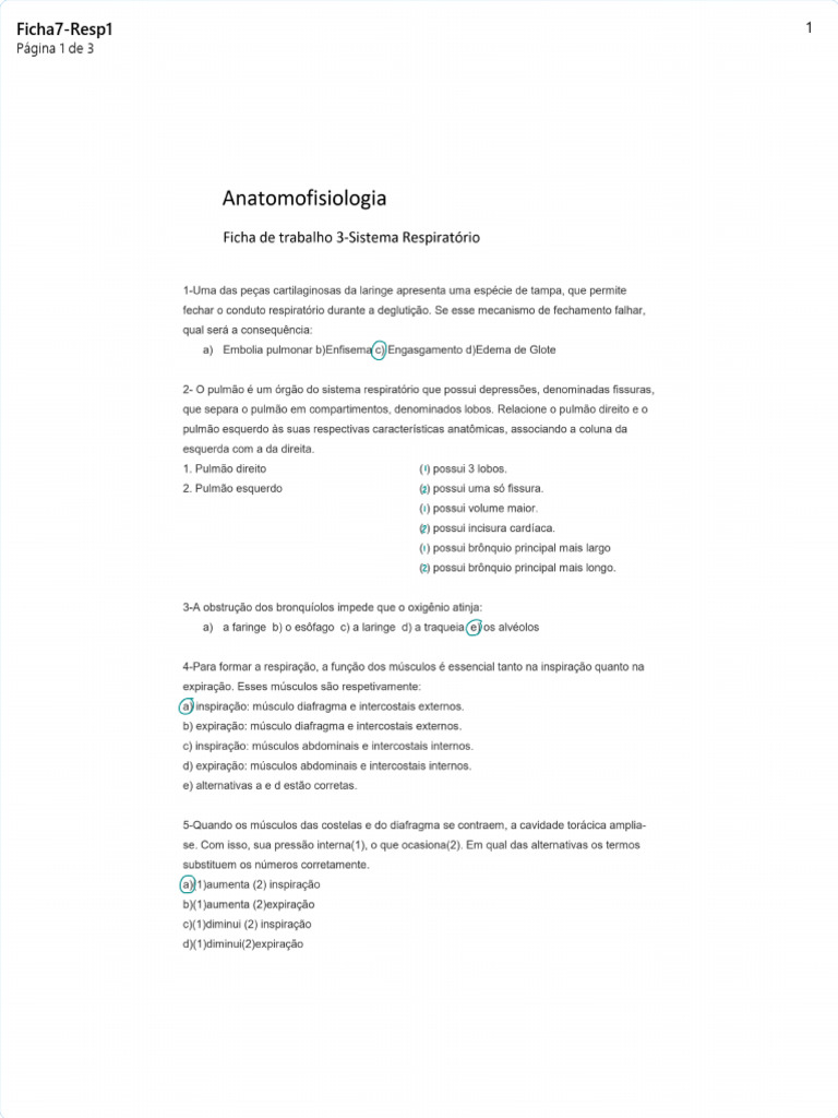 Ficha 7 pdf