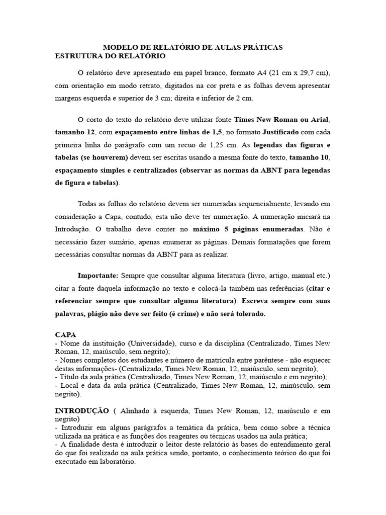 Modelo de relat rio de aulas pr ticas docx documentos google pdf