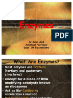 Enzyme Properties