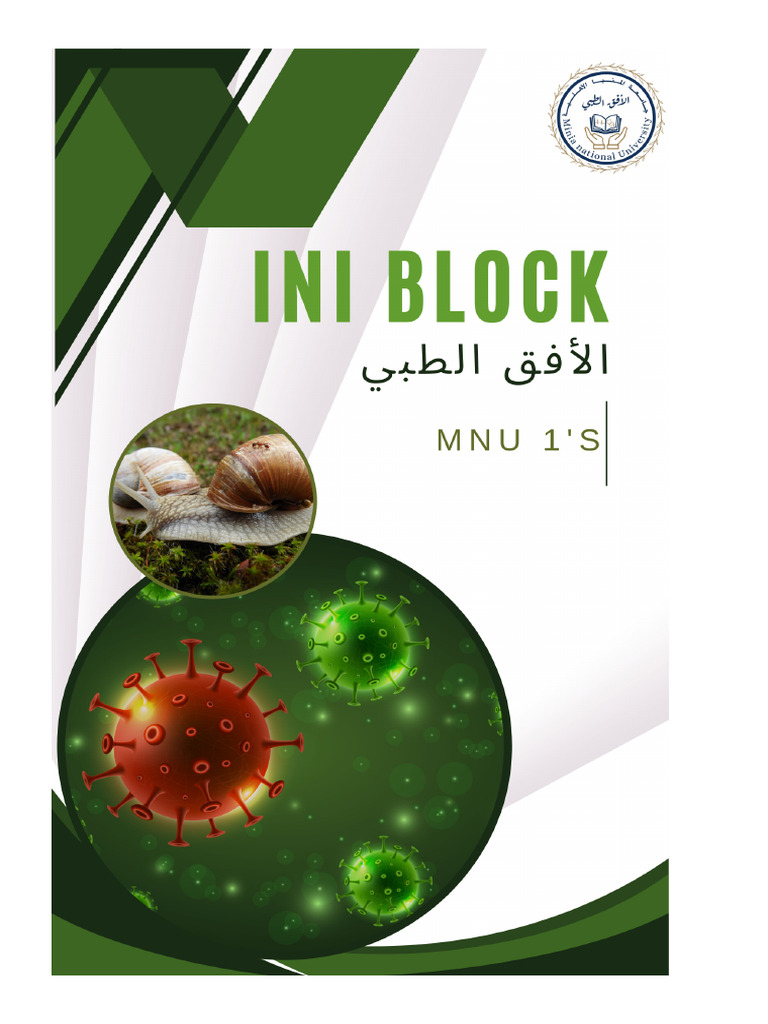INI Block Medical Horizon | PDF