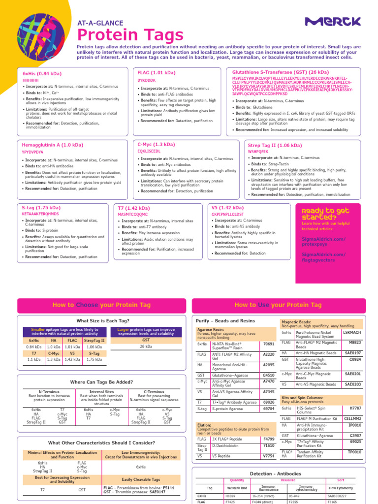 Protein Purification Tag Fl9869en MK | PDF