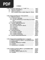 Analiza Diagnostic A Unei Firme