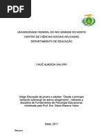 Artigo Cauê Almeida Galvão