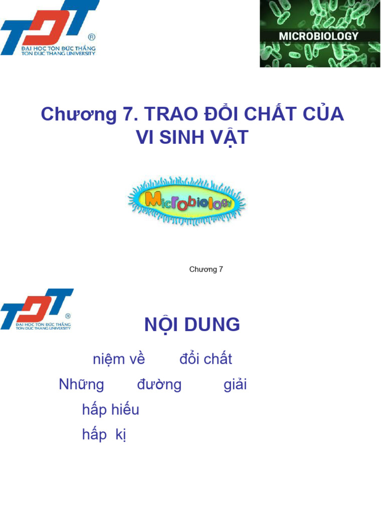 Microbiology Chapter 7 | PDF