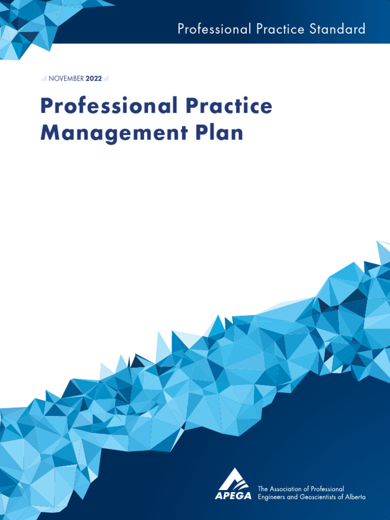 PPMP Practice Standard Nov2022 | PDF
