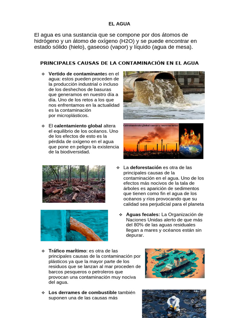 Principales Causas de La Contaminación en El Agua | PDF | Agua ...