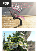Download Xerophytic Plants and Their Adaptations by MuzzAm Mil SN77014949 doc pdf