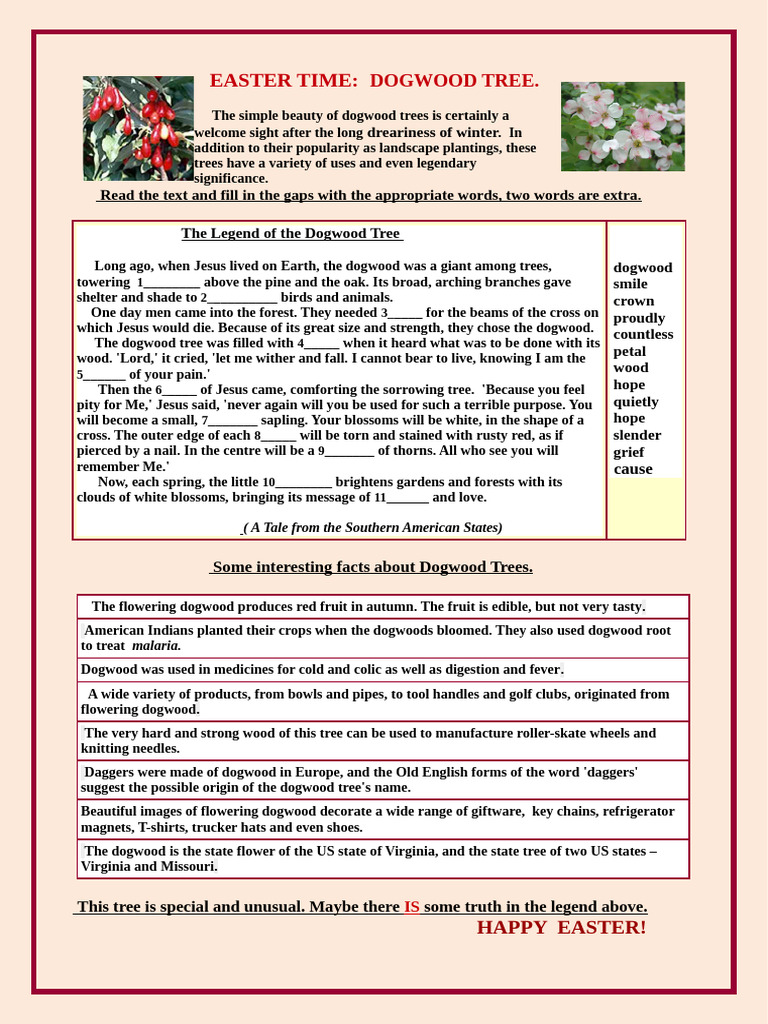 Easter Time Dogwood Tree Reading Comprehension Exercises - 69016 | PDF