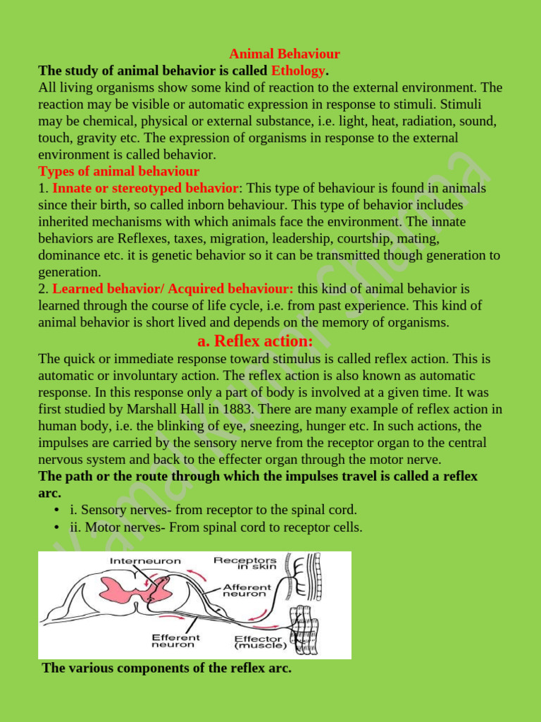 Kinesis and Telotaxis in Animal Behavior | PDF | Bird Migration ...