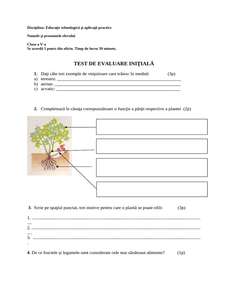 Test Initial Clasa A 5 A | PDF