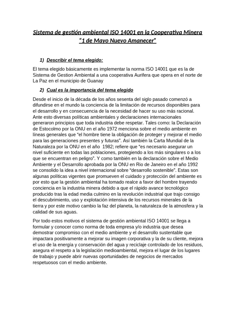 ISO 14001 en Cooperativa Minera 1 de Mayo | PDF | Minería | Entorno natural