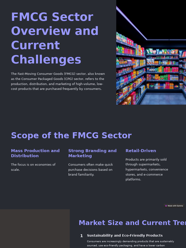 FMCG Sector Overview and Current Challenges | PDF