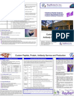 Custom Antibody, Protein, Peptide Service