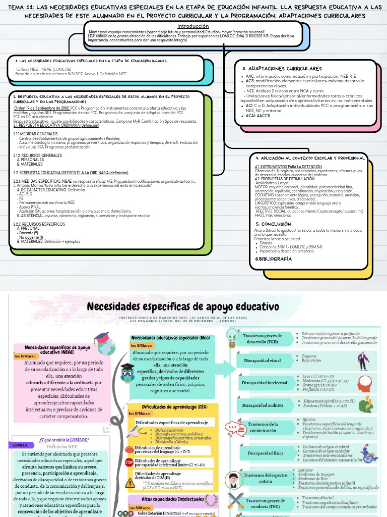 NEE y NEAE en Educación Infantil LOMLOE | PDF | Ciencia cognitiva ...