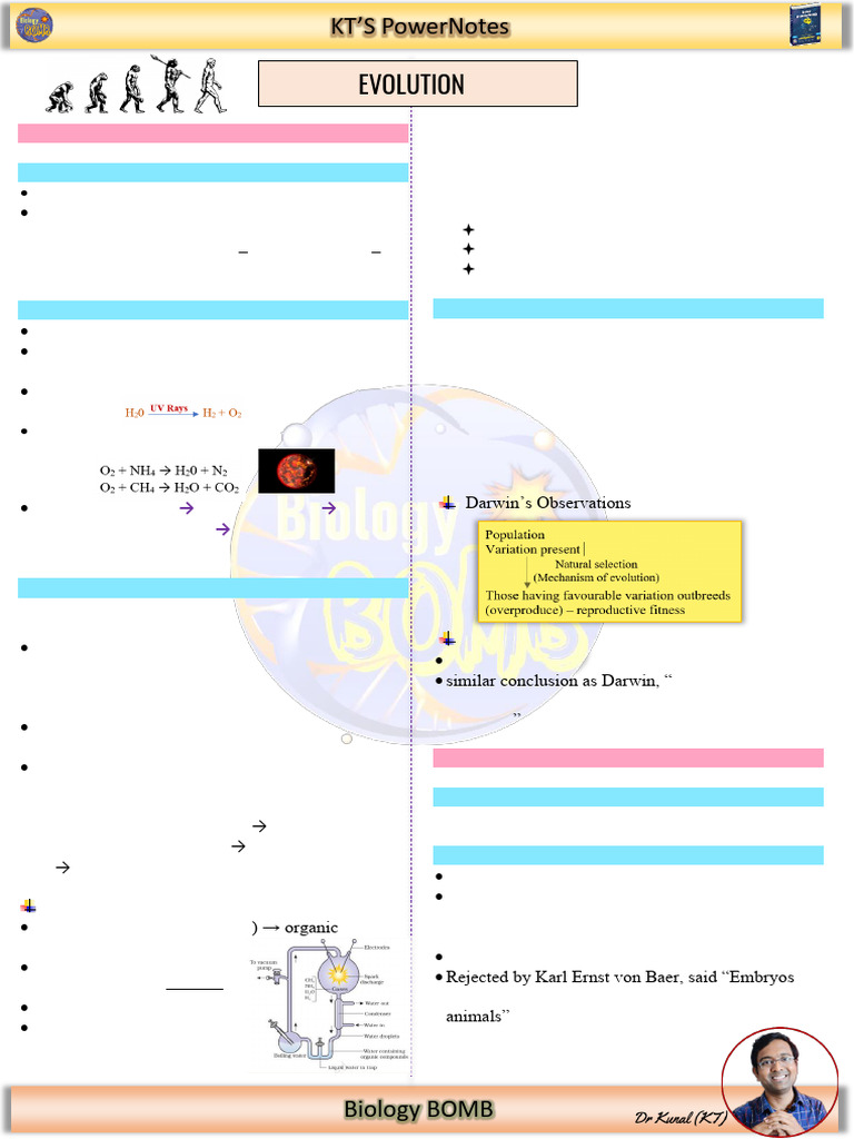13 Evolution | PDF
