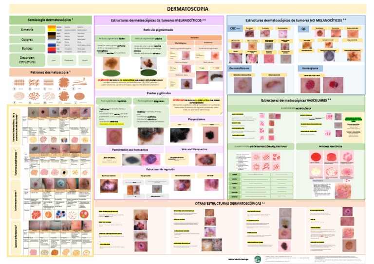 Dermatoscopia 1 | PDF