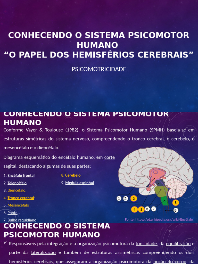 Conhecendo o Sistema Psicomotor Humano | PDF
