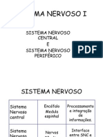 SISTEMA NERVOSO - Fisiologia §