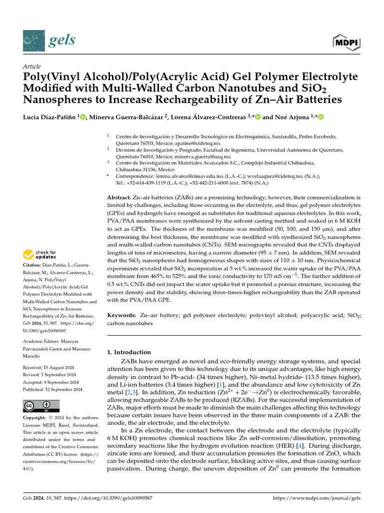 Enhanced Gel Polymer Electrolyte for Zn-Air Batteries | PDF | Carbon ...