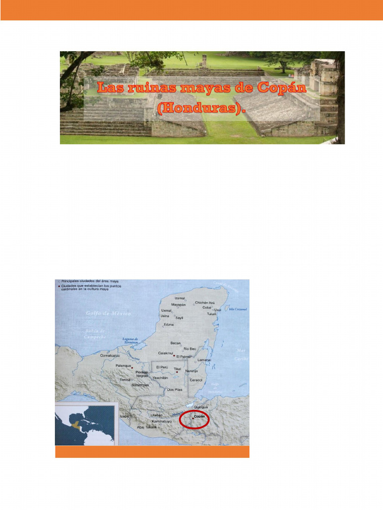 Copan | PDF