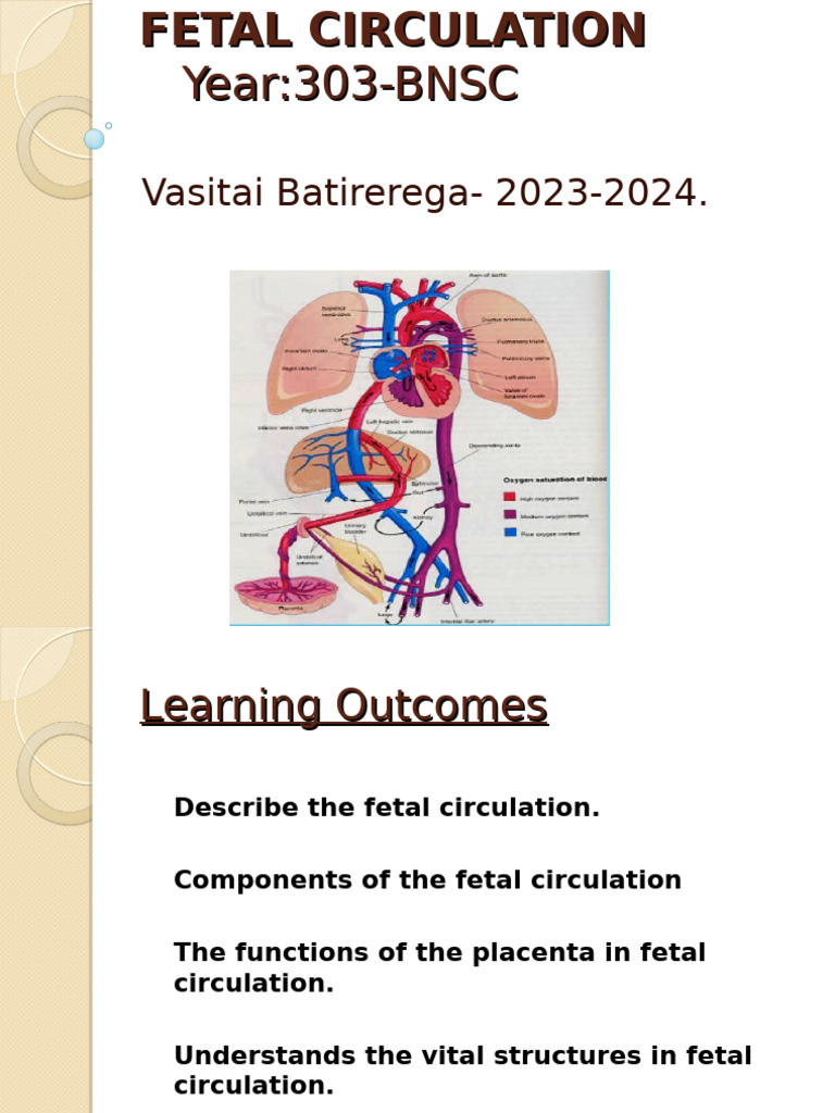 Fetal Circulation: Key Components and Changes | PDF | Fetus | Science ...
