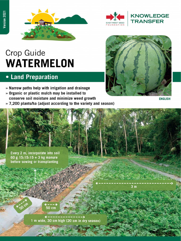 Watermelon | PDF