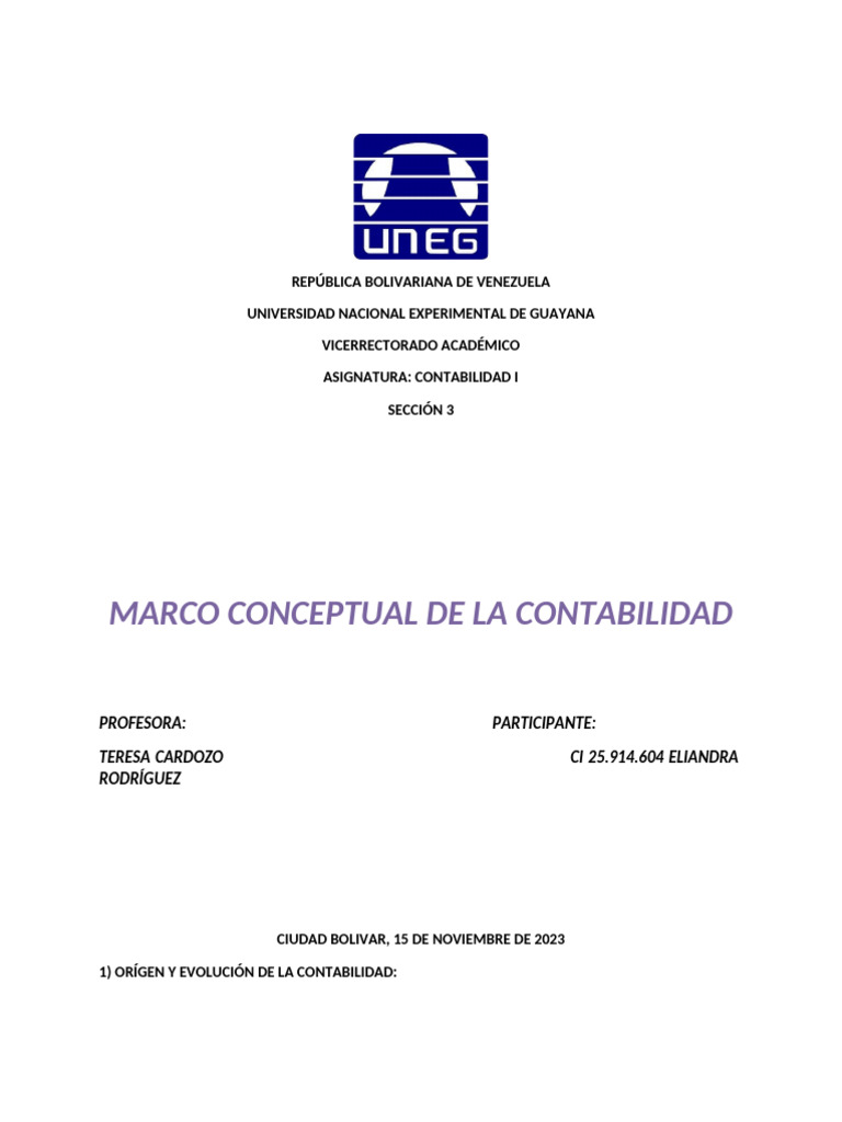 Marco Conceptual de La Contabilidad | PDF