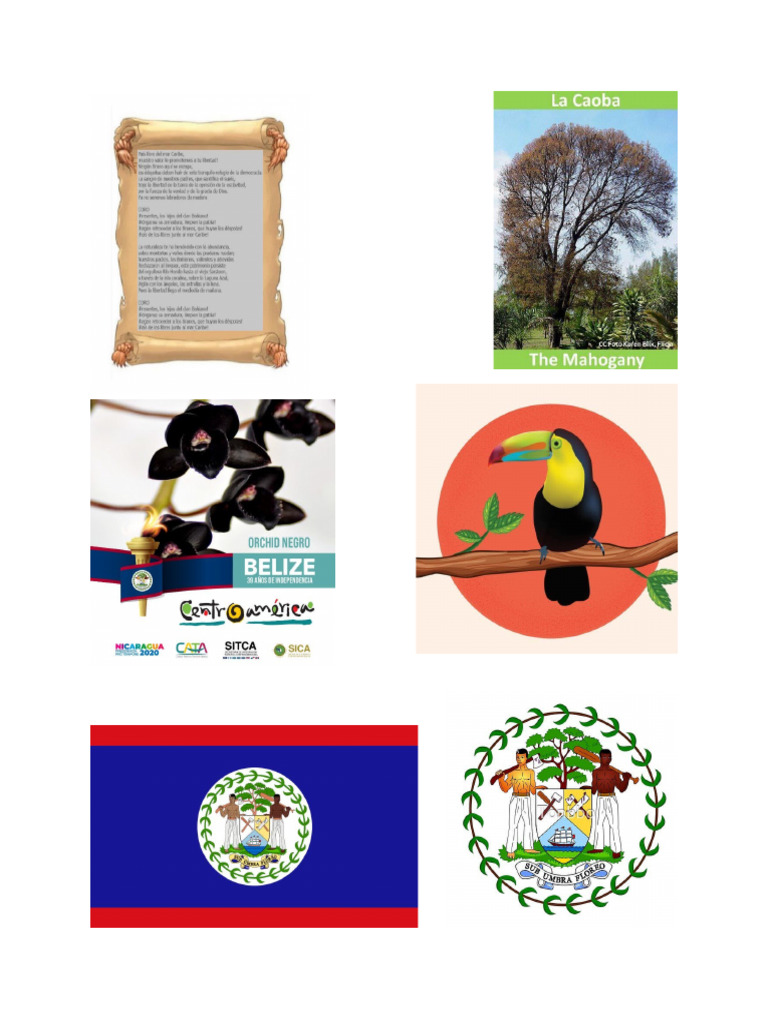 Belize | PDF