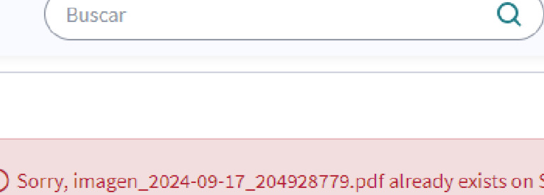 Imagen 2024 09 17 2 Pdf