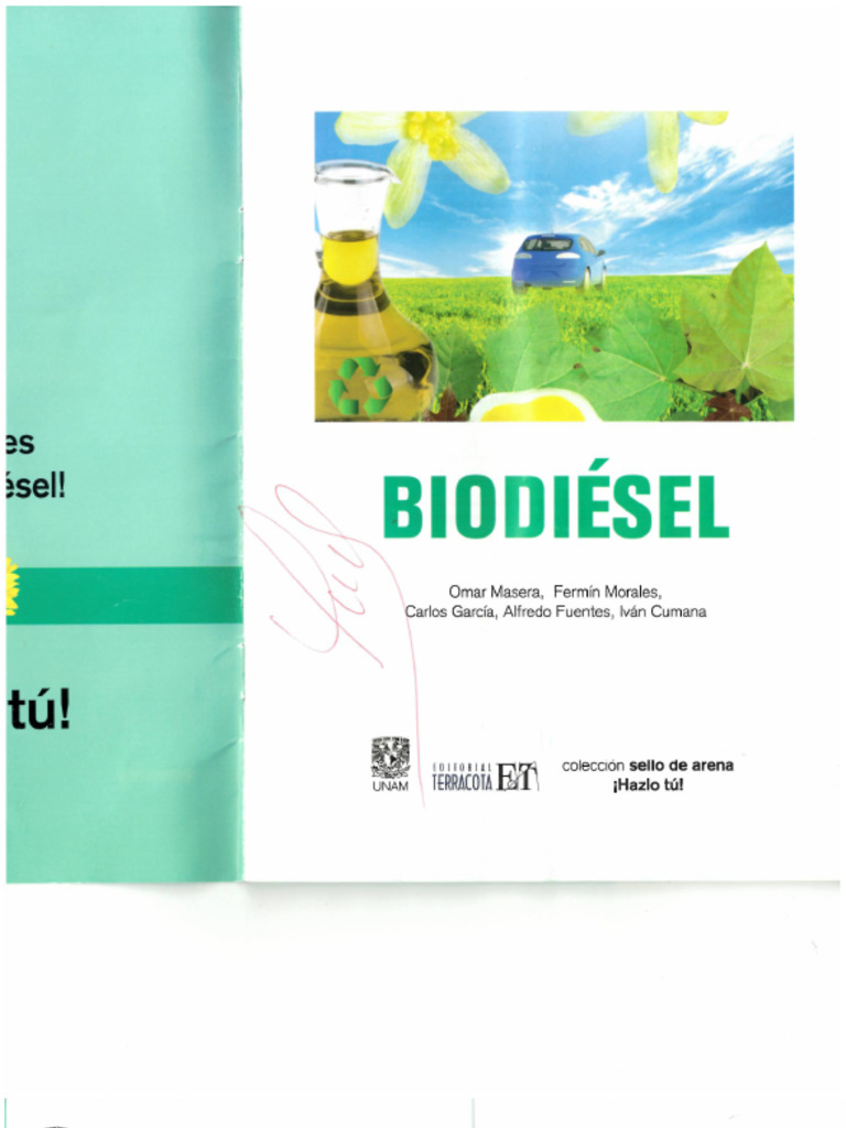 Manual de Biodiesel | PDF