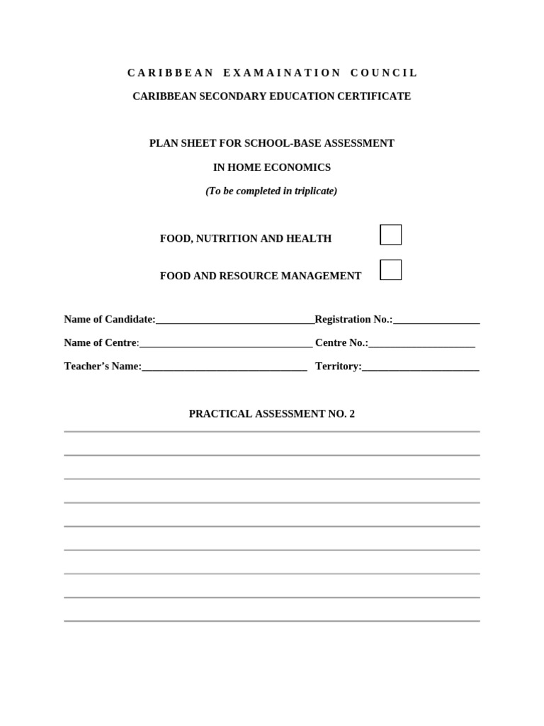 Home Economics SBA Plan Sheet | PDF