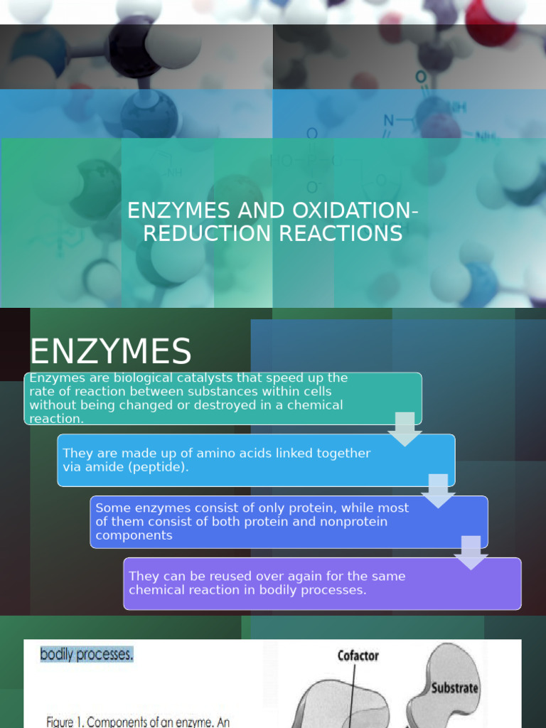 Enzymes and Redox Reactions Explained | PDF | Enzyme | Wellness
