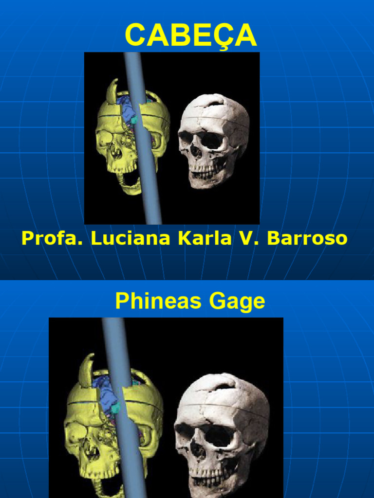 CABEÇA | PDF
