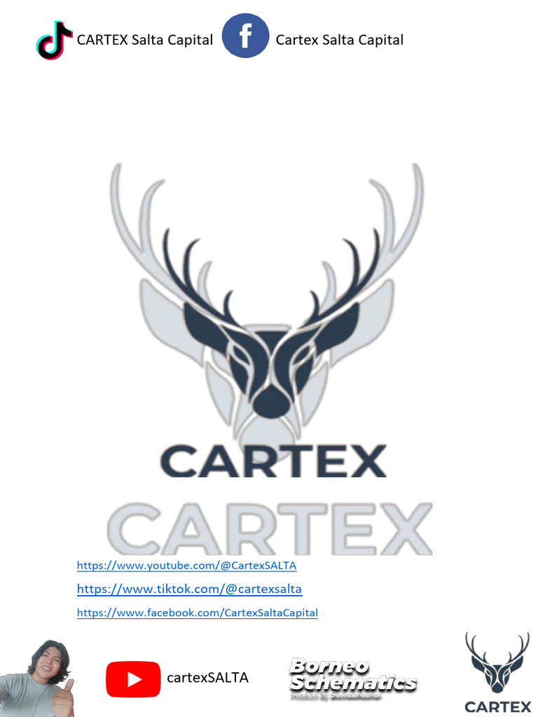 Manual de Cartex Segunda Actualizacion | PDF