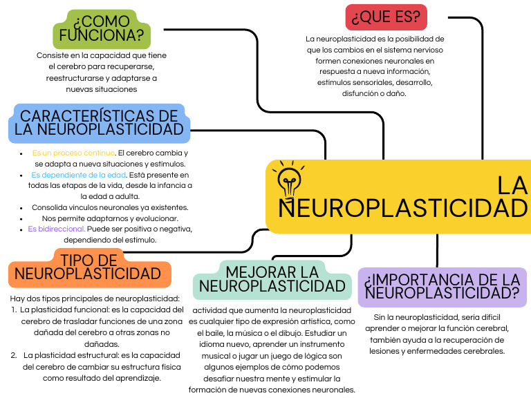 Mapa Conceptual Neuroplasticidad | PDF