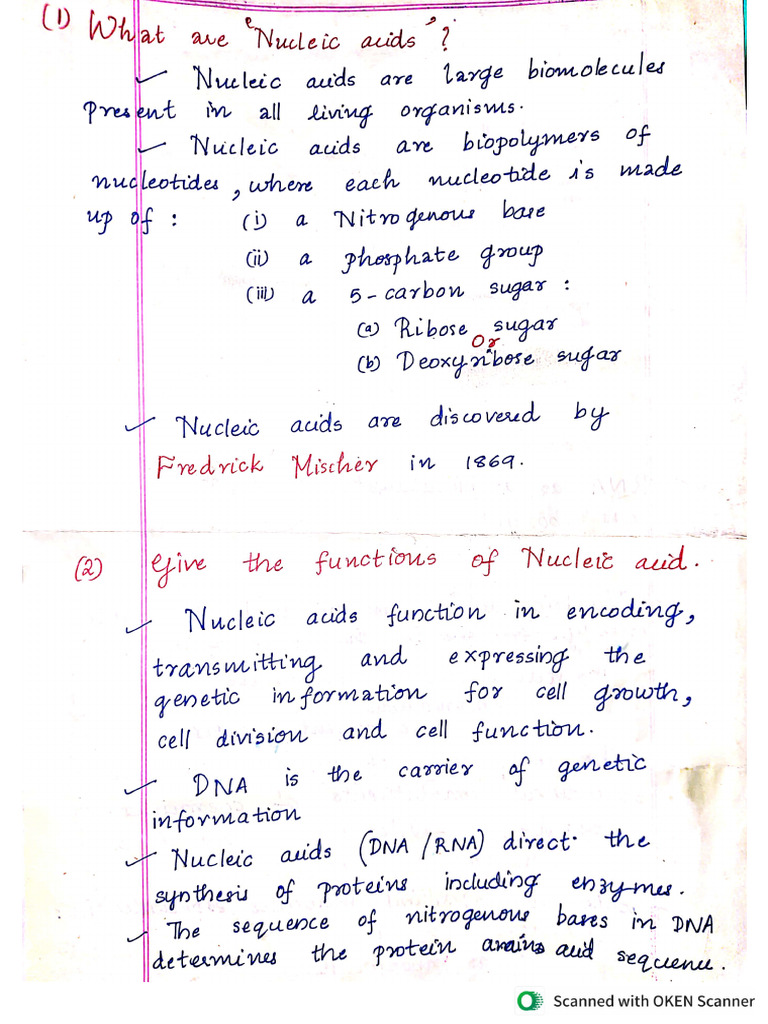 Nucleic Acids and Nucleotide Synthesis | PDF