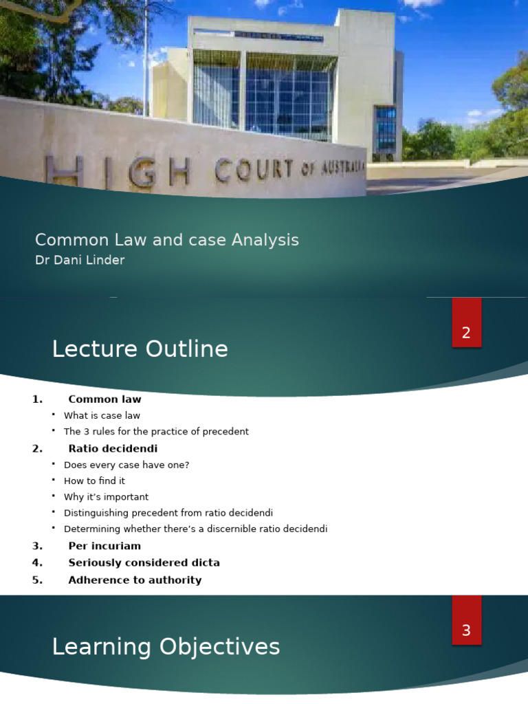 Common Law and Case Analysis Slides | PDF