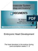 CVS - Embrology and Anatomy