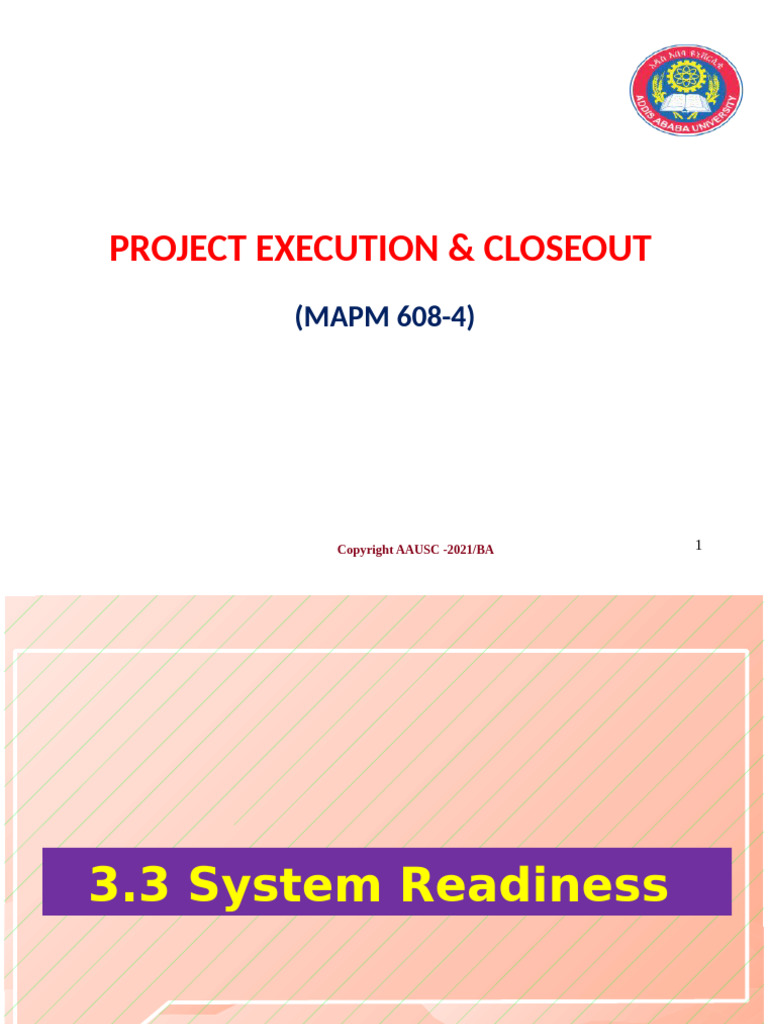 3-3 Project Execution & Closeout - Unit 3.3 | PDF