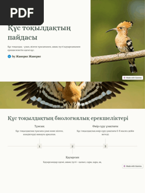 Порно эротика секс жезөкшелері