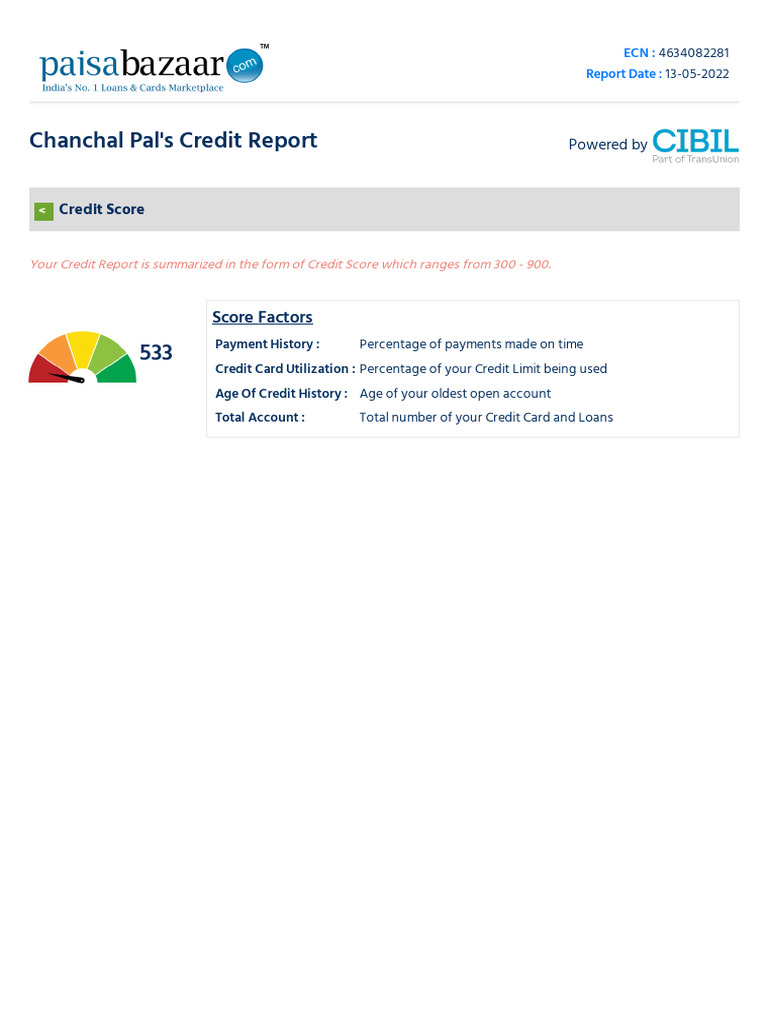 Chanchal Pal S Credit Report Score Factors Pdf