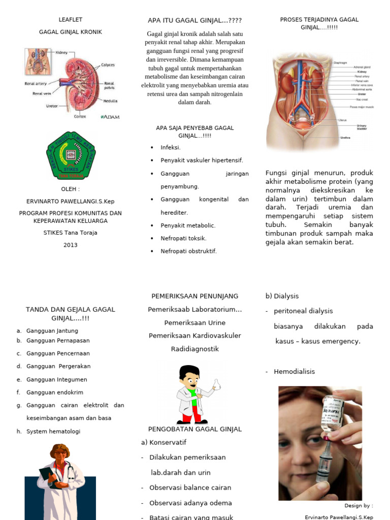 Leaflet CKD | PDF