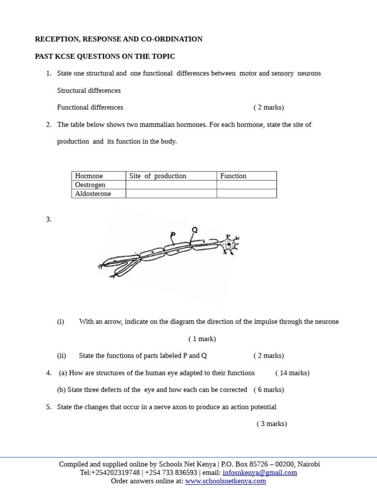 Reception Response and Cordination Questions | PDF
